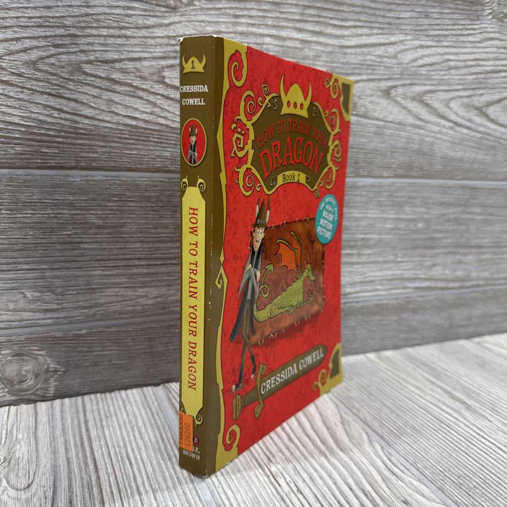 How To Train Your Dragon Chapter Book
