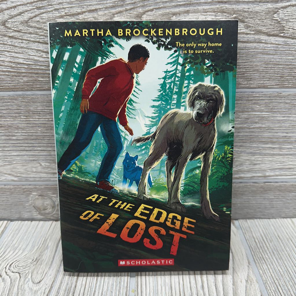 At The Edge Of Lost Chapter Book