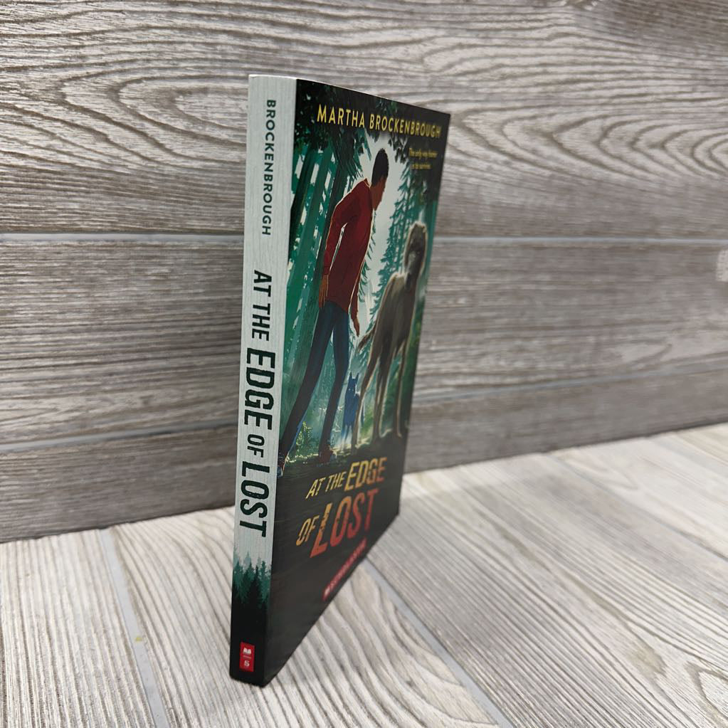 At The Edge Of Lost Chapter Book