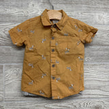 Button Up Shirt W/ Stripe Bow Tie Zebras & Shorts Stripes 18M