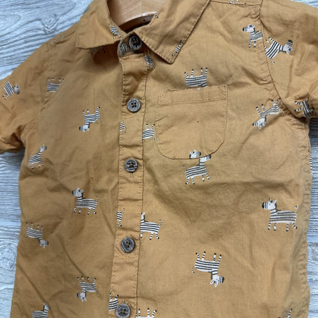 Button Up Shirt W/ Stripe Bow Tie Zebras & Shorts Stripes 18M