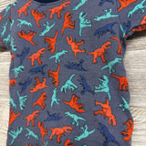 2 Pc PJs Dinosaurs 12M