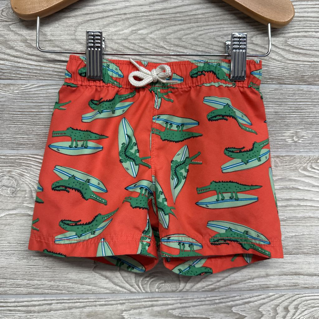 LS Rash Guard & Swim Trunks Alligator Surf Boards 6-12M