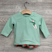 LS Rash Guard & Swim Trunks Alligator Surf Boards 6-12M