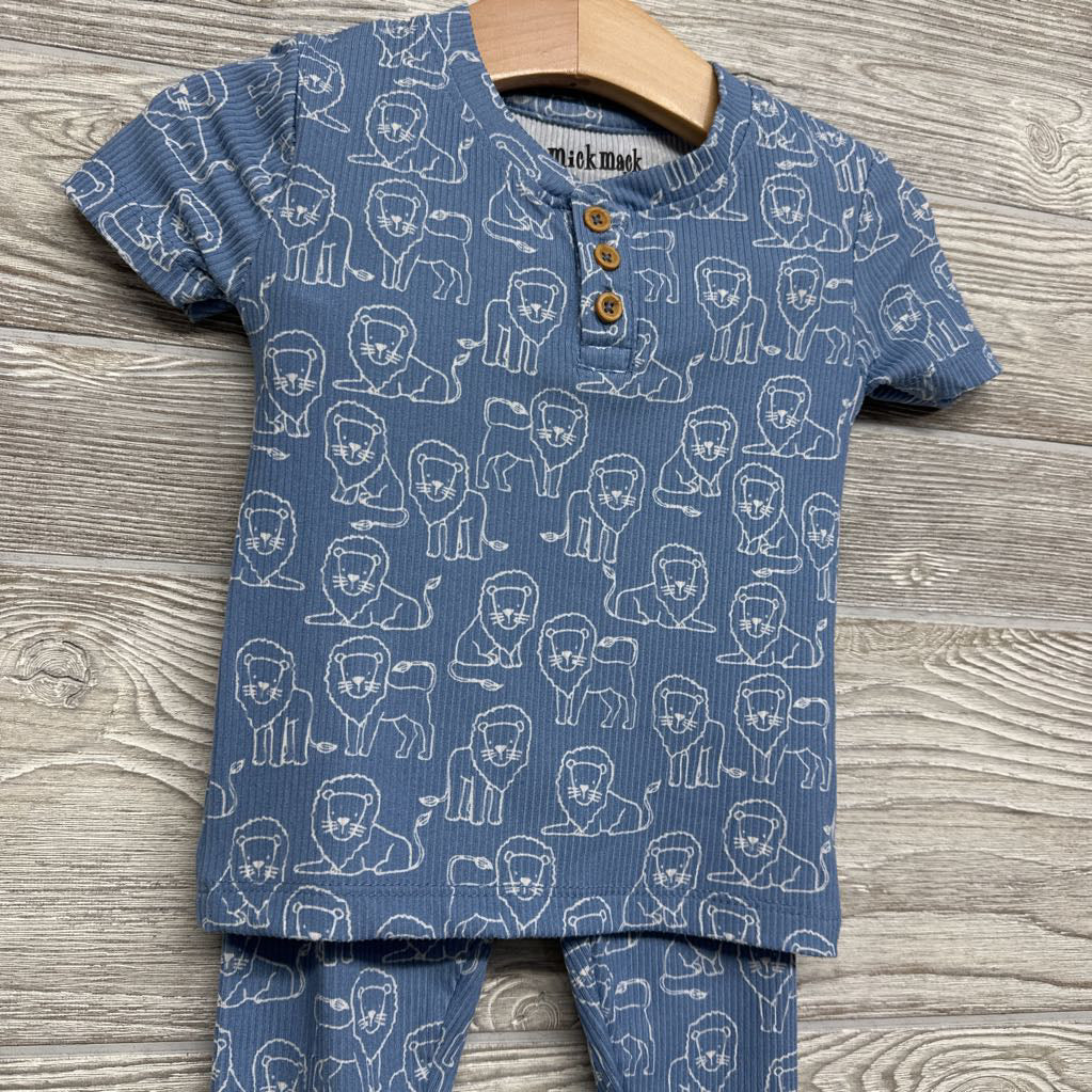 2 Pc Ribbed PJs Lions 2T