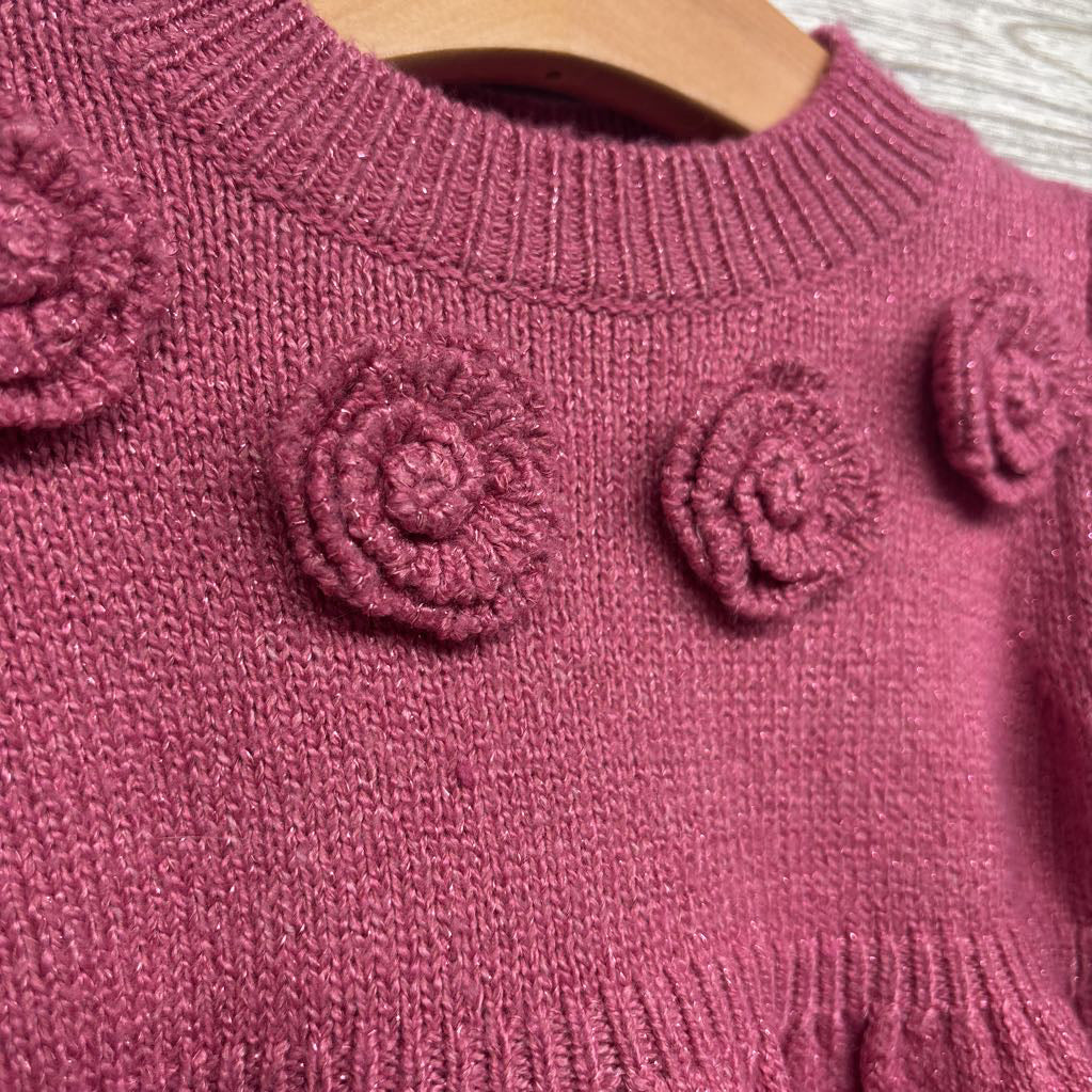 Sweater Dress Roses 18M
