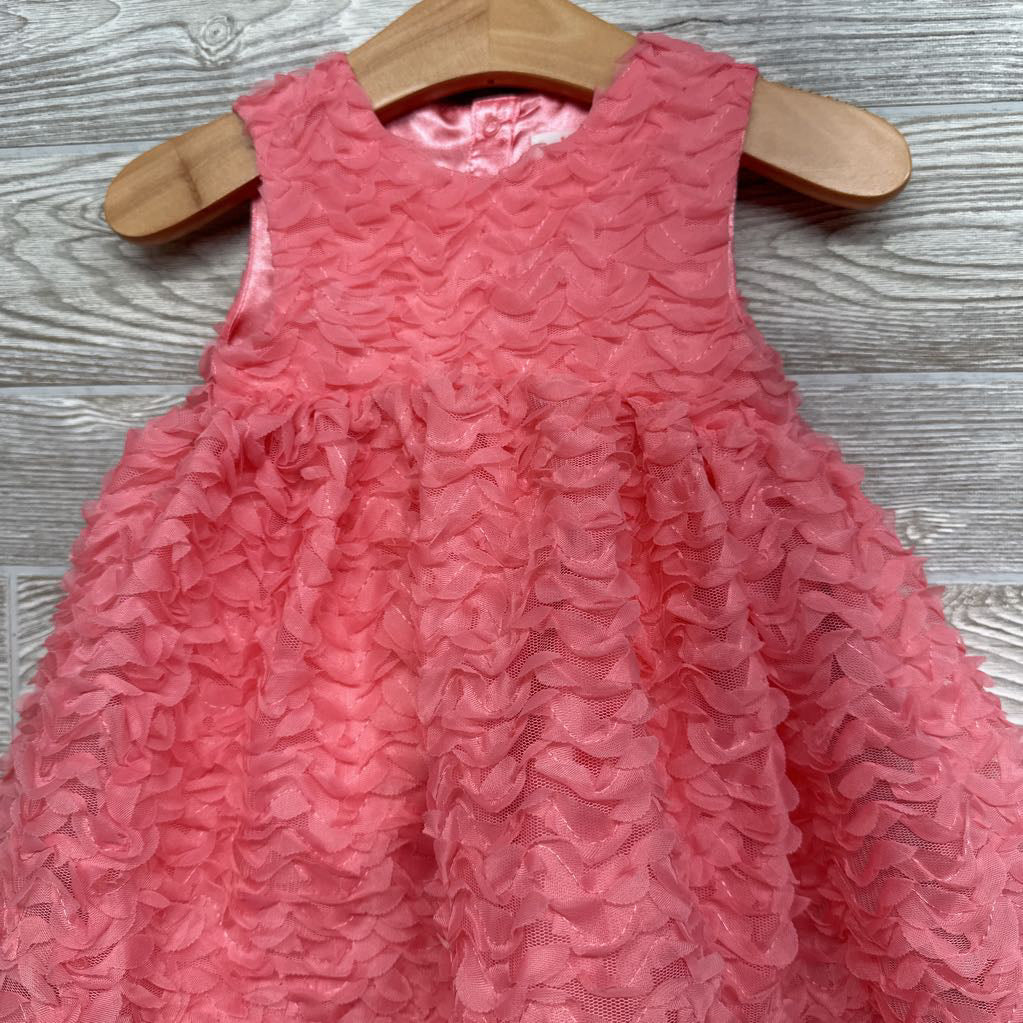 Tulle Dress 12M