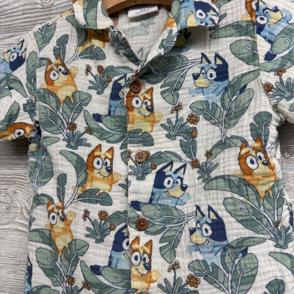 Muslin Button Up Character Shirt 3t