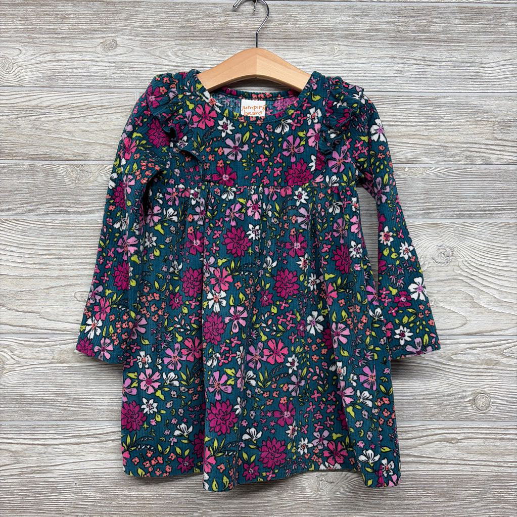 LS Ribbed Velour Dress Flowers 4T
