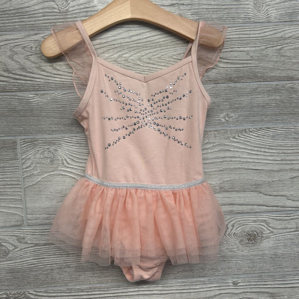 Tutu Skirted Leotard 4-5