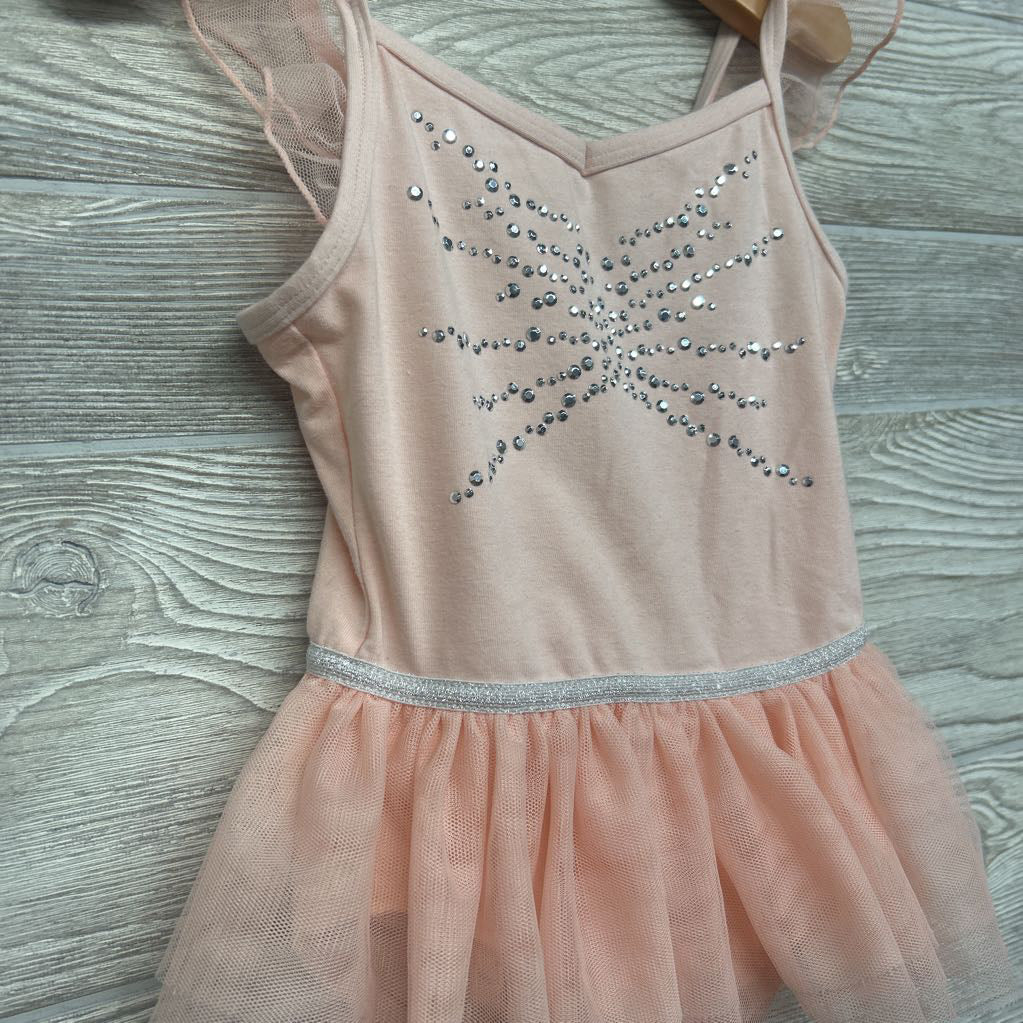 Tutu Skirted Leotard 4-5
