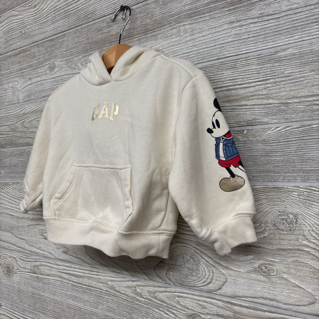 3D Hooded Sweatshirt Mickey & Minnie Arms 12-18M