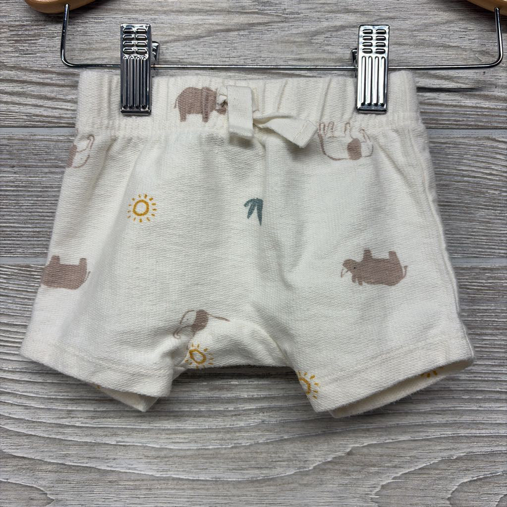 French Terry Shirt & Shorts Rhinos Elephants Suns 3M