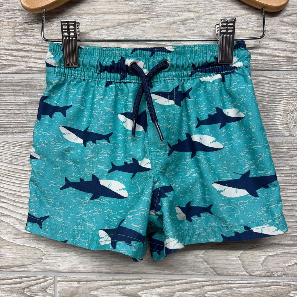 NEW LS 1/4 Zip Rash Guard & Swim Trunks Sharks 2T