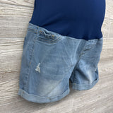 Full Panel Distressed Denim Shorts Medium