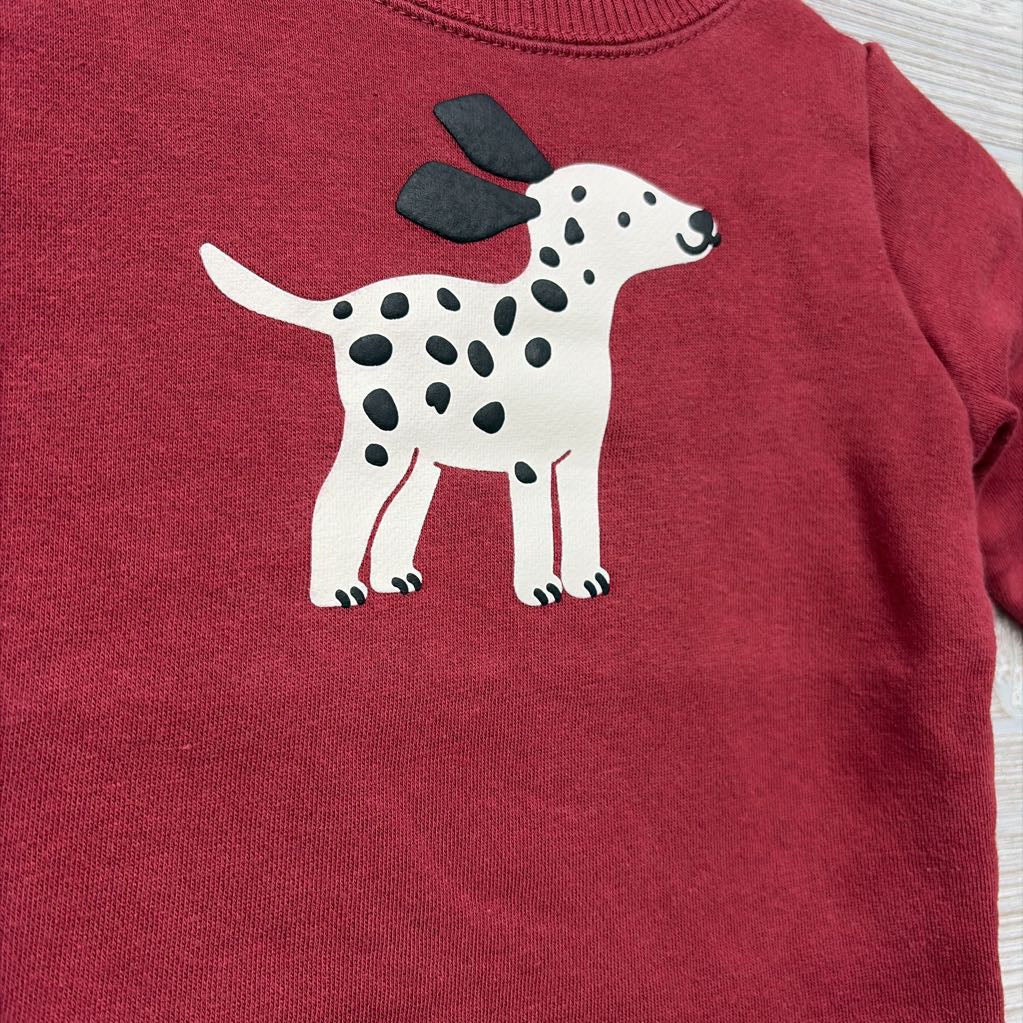 Crewneck Dog 12M