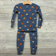 2 Pc Pj Bears & Fox 3t