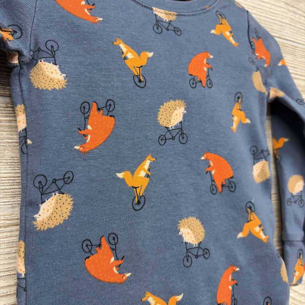 2 Pc Pj Bears & Fox 3t
