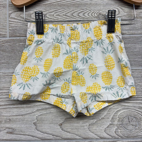 Flutter Sleeve Shirt & Shorts Pineapples 12M