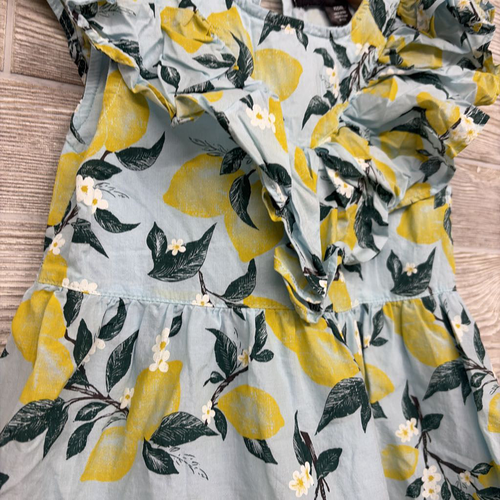 Ruffle Dress Lemons 5-6