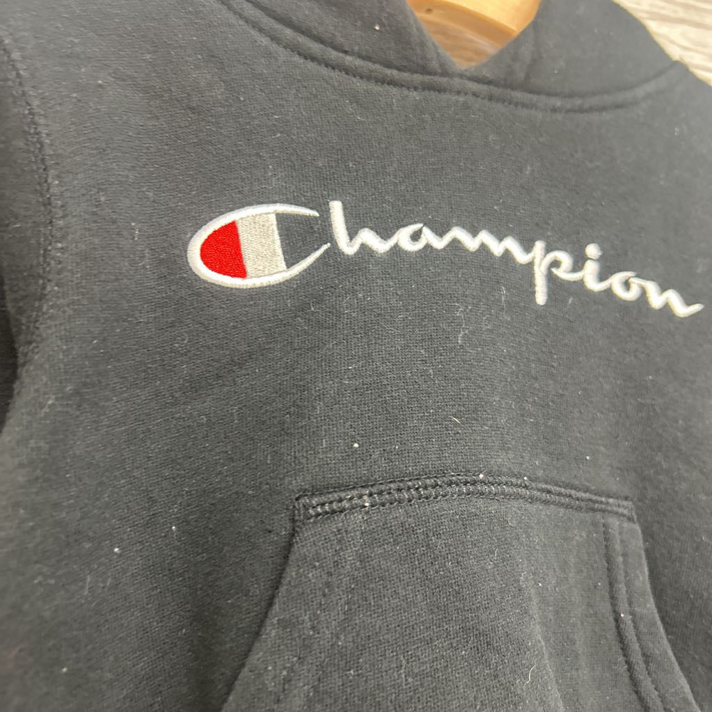 Hoodie Logo 3T