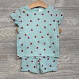 Shirt & Bike Shorts Lady Bugs 24M