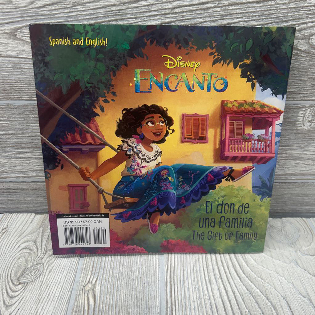 Encanto The Gift Of Family Paperback