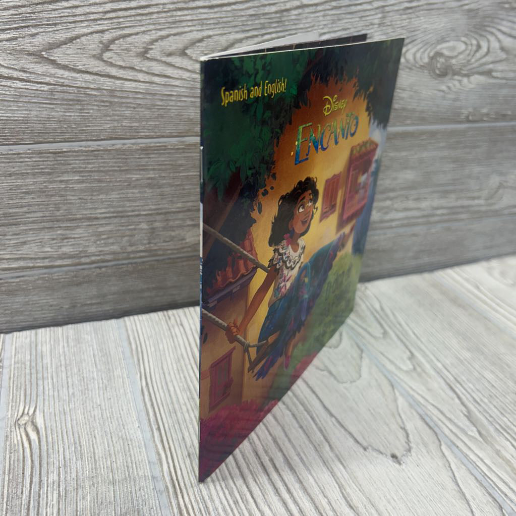 Encanto The Gift Of Family Paperback