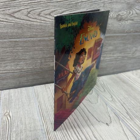 Encanto The Gift Of Family Paperback