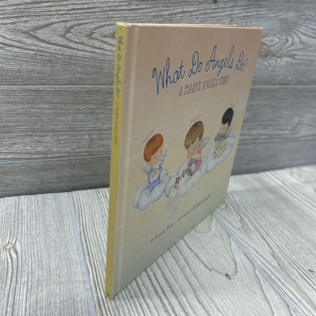 What Do Angels Do? Hardcover
