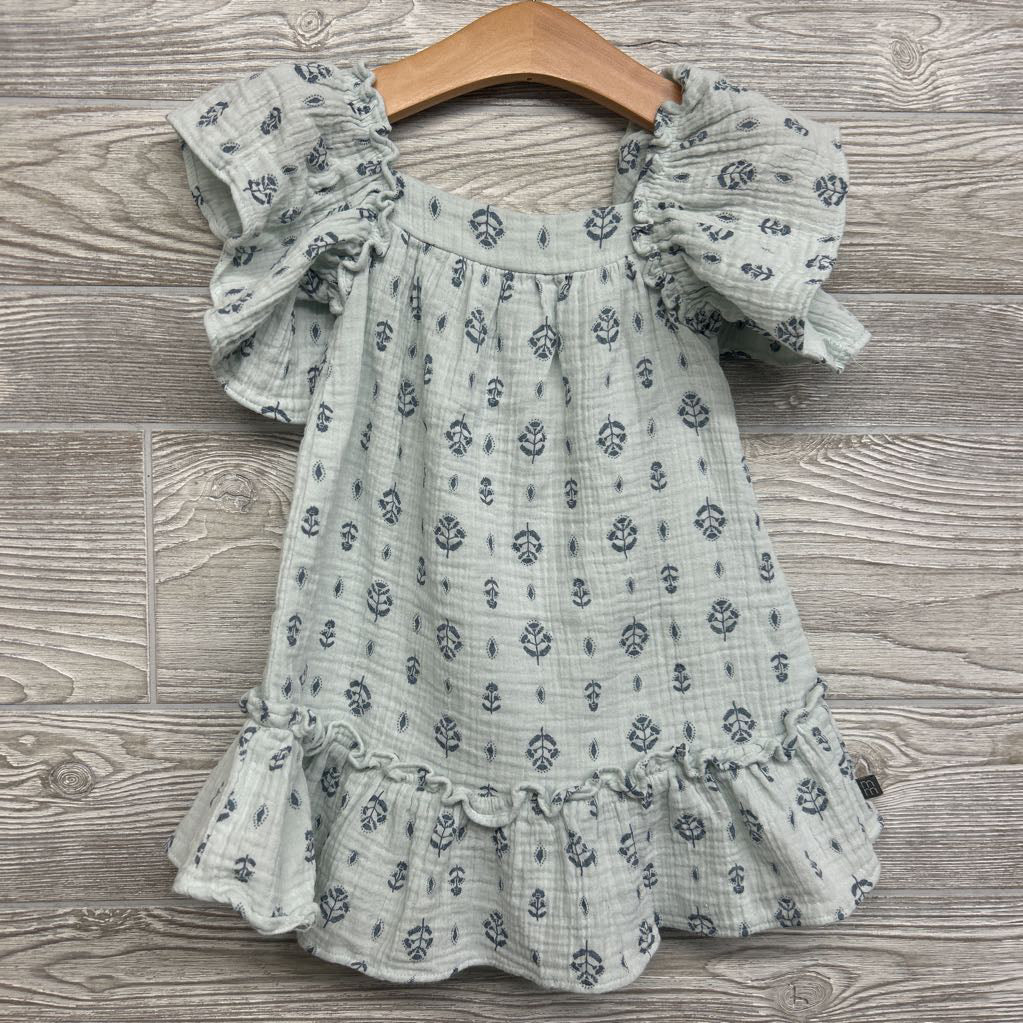 Gauze Dress Flowers 2t