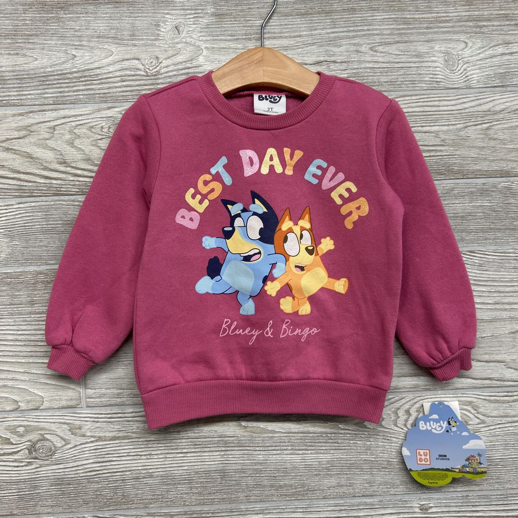 NEW Crewneck Best Day Ever 2t
