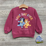 NEW Crewneck Best Day Ever 2t