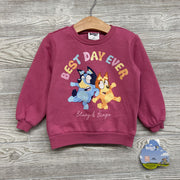 NEW Crewneck Best Day Ever 2t