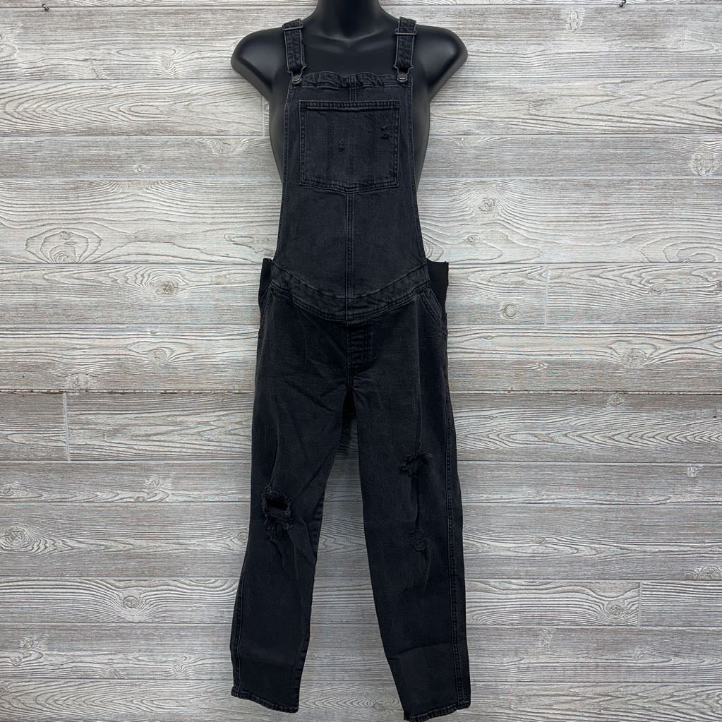Side Panel Denim Overalls 8/Medium Short