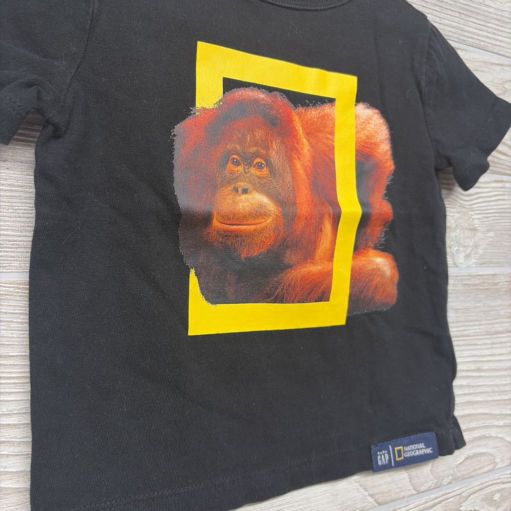 Shirt National Geographic Orangutang 18-24M