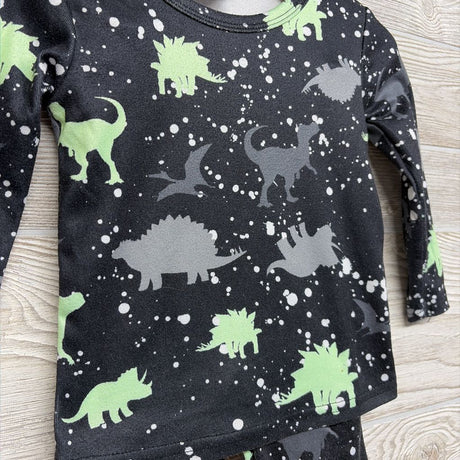 2 Pc LS PJs Dinosaurs Splatters 12-18M