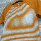 Shirt Stripes 5t