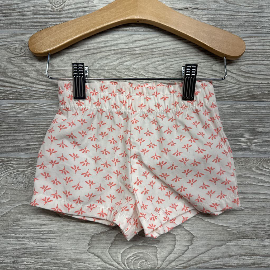 NEW Smocked Tank Top & Shorts Flowers 12M
