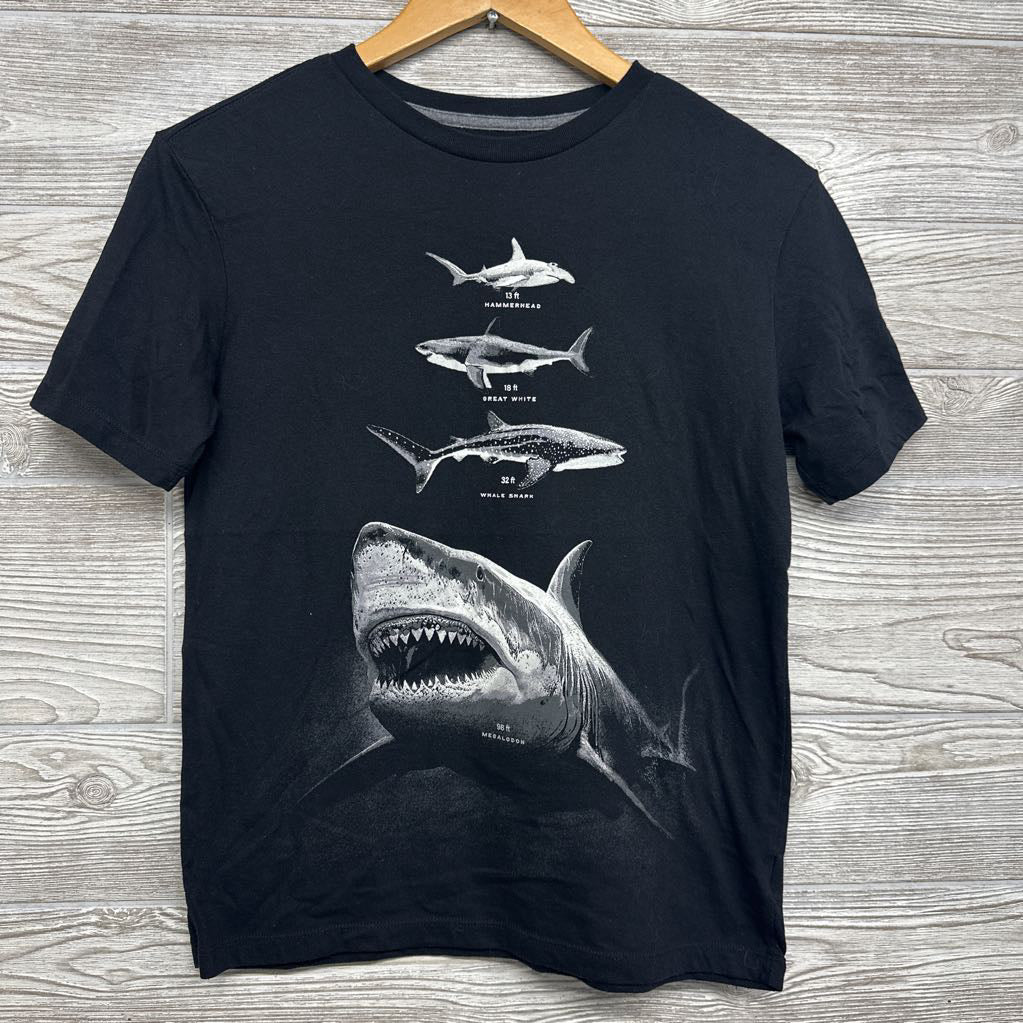 Shirt Sharks 14-16