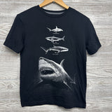 Shirt Sharks 14-16
