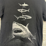 Shirt Sharks 14-16