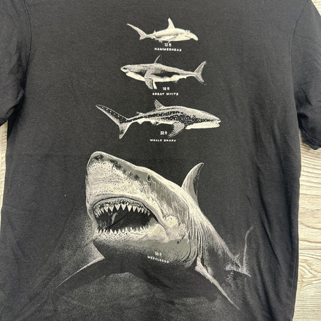 Shirt Sharks 14-16