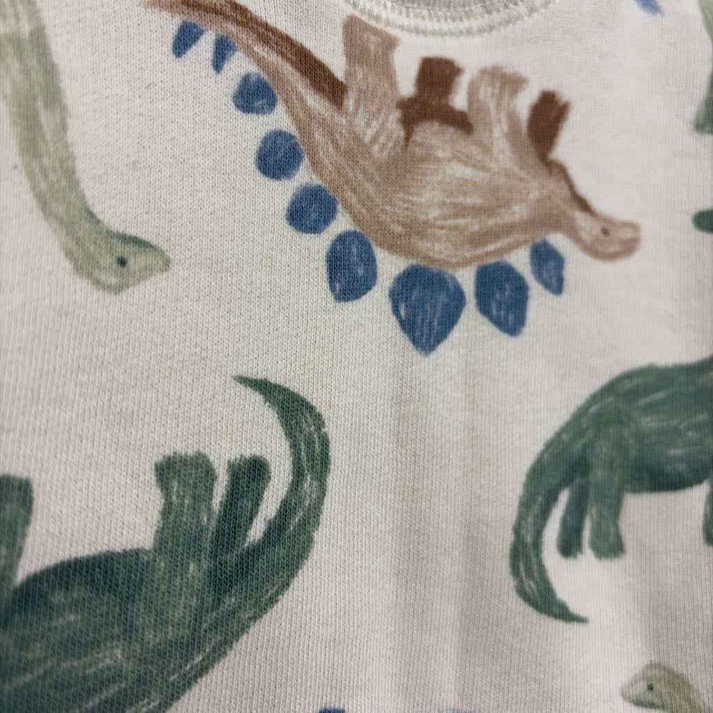 Crewneck & Joggers Dinosaurs NB