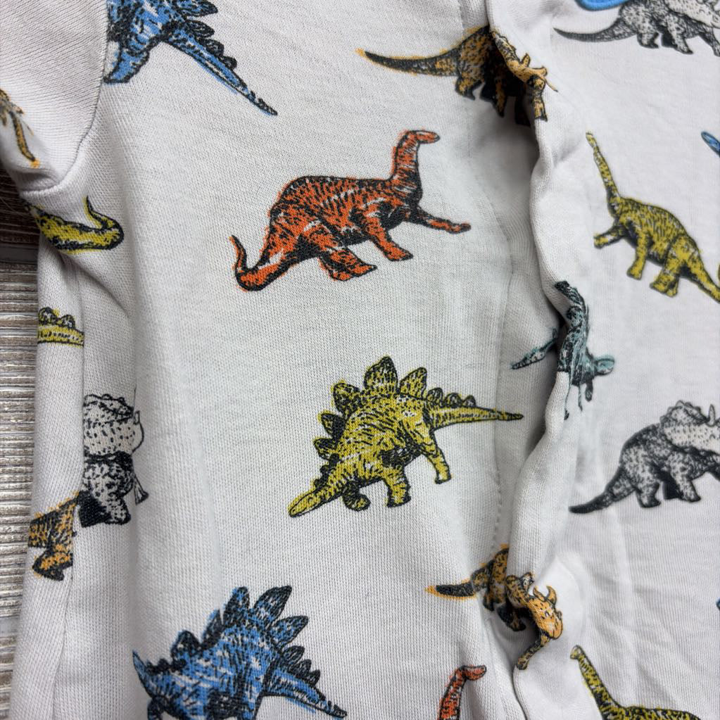 Magnetic Sleeper Dinosaurs 3-6M