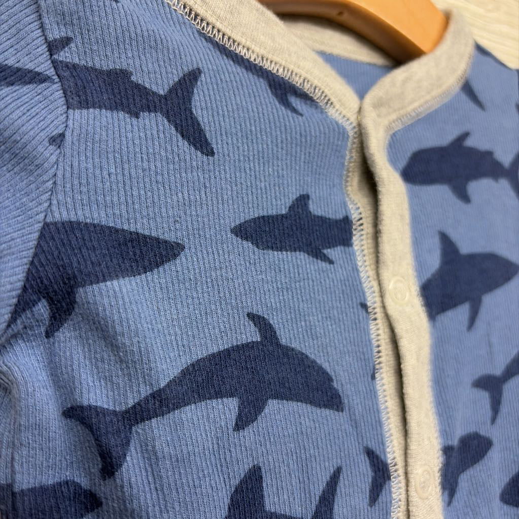 Ribbed Sleeper Sharks 6M