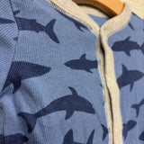 Ribbed Sleeper Sharks 6M