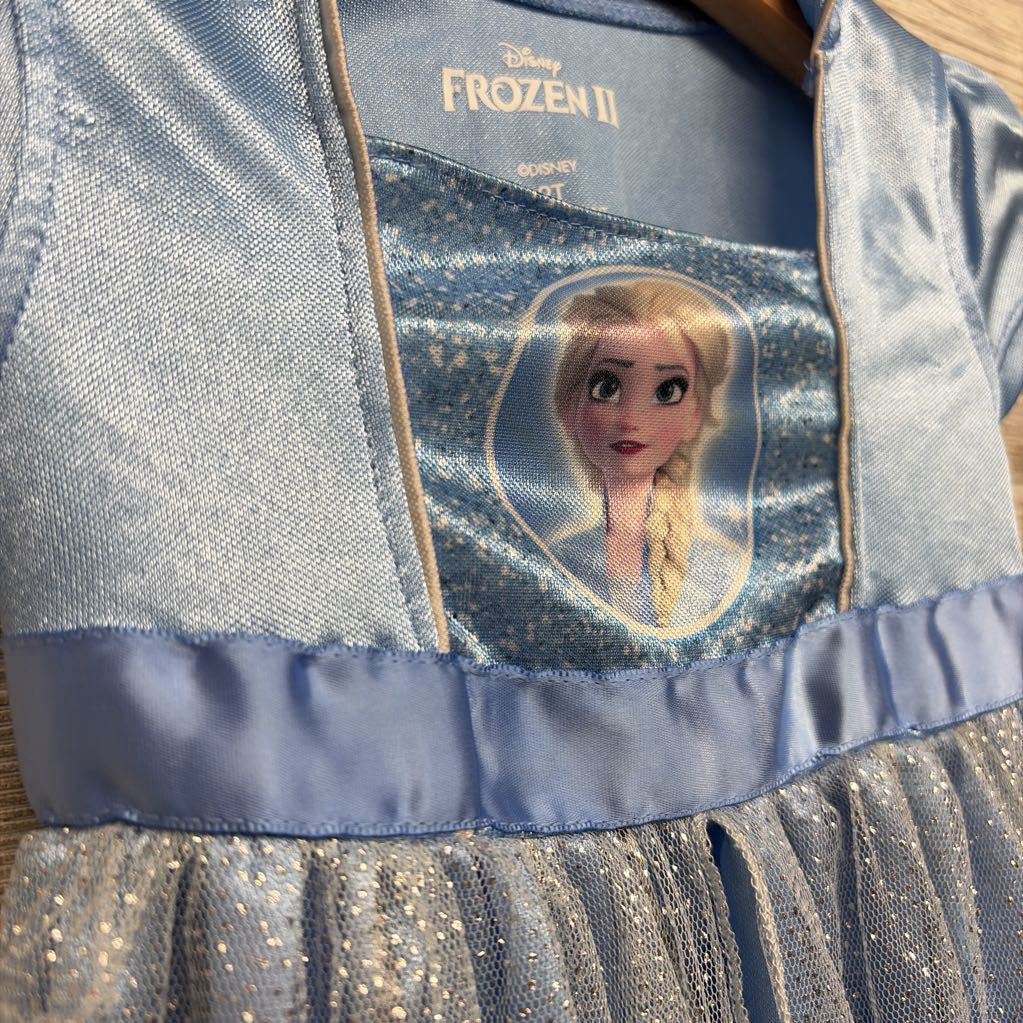Tulle PJ Gown Elsa 2T
