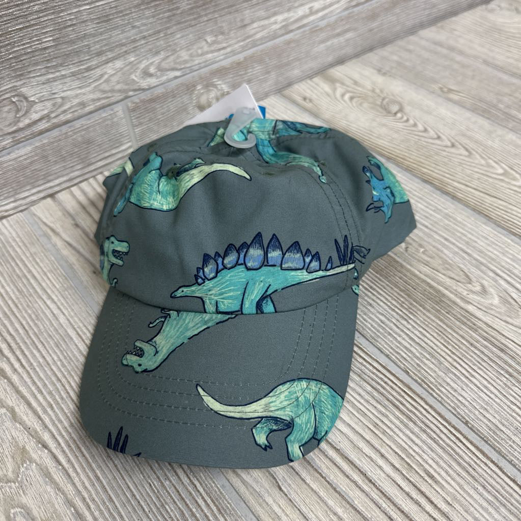 NEW Hat Dinosaurs