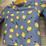 2 Pc LS Swimsuit Lemons 9M